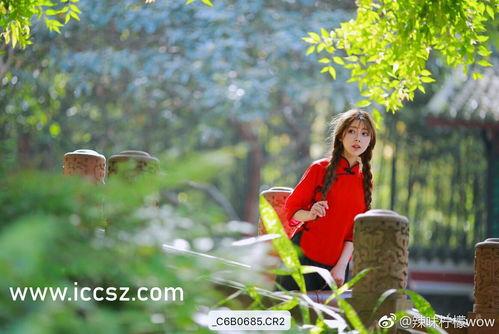 热门黑瓜吃料,潮流美食背后的故事与魅力