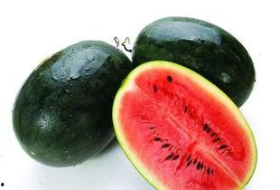 每日吃瓜黑料24小时,24小时吃瓜黑料大汇总