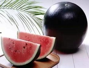 每日大赛官网吃瓜黑料,吃瓜黑料背后的真相与内幕